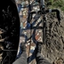loader